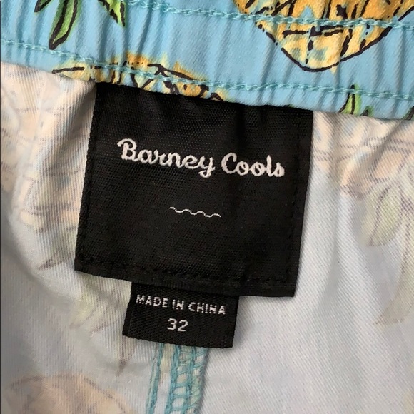 BARNEY COOLS BLUE GREEN PINEAPPLE SWIM SHORTS - Picture 6 of 7